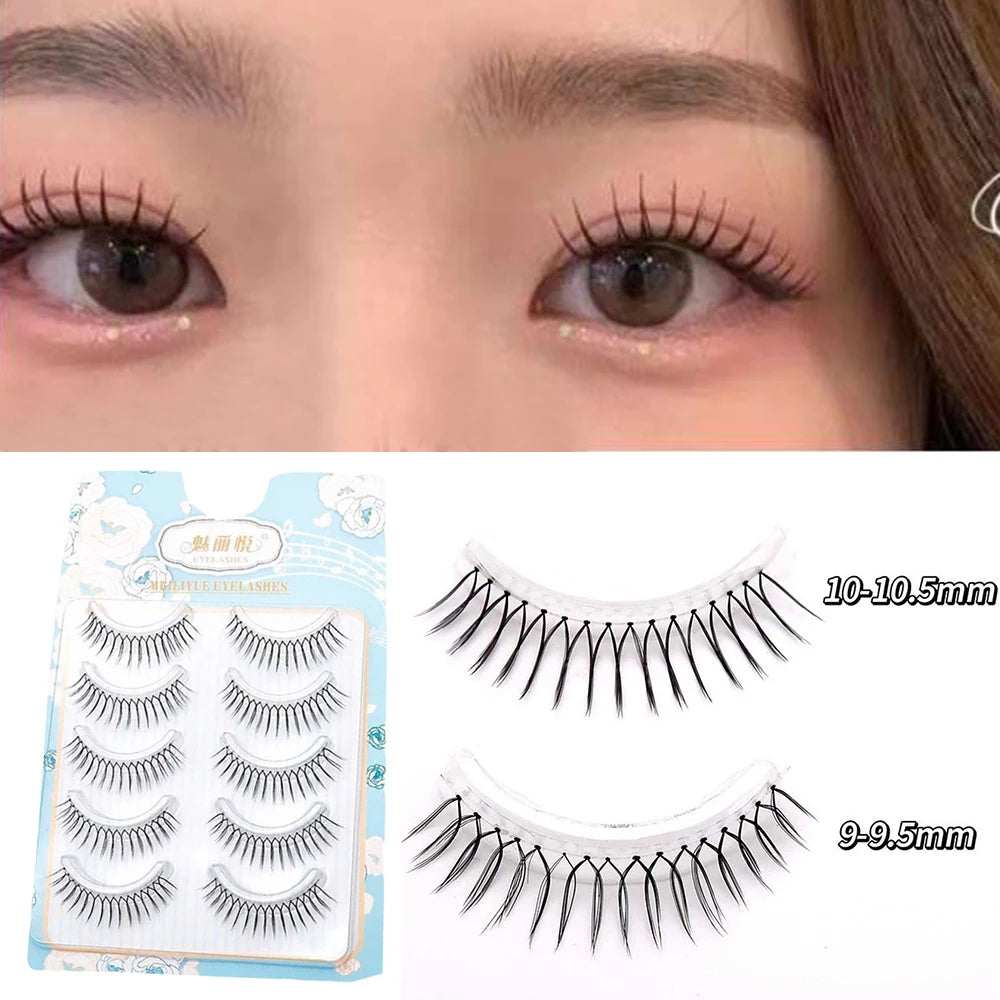 magnetic lashes