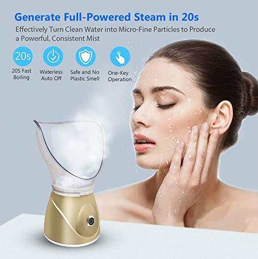 Beauty steaming face instrument