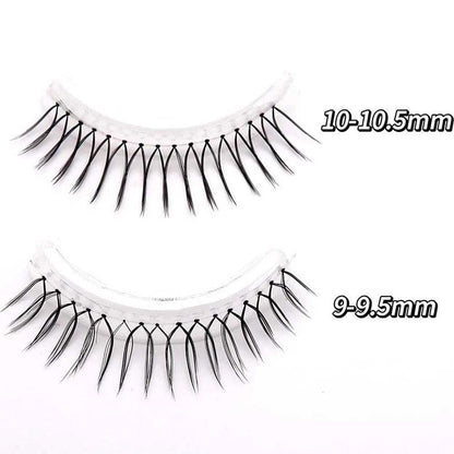 magnetic lashes